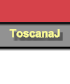 ToscanaJ (section)