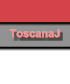 ToscanaJ (active section)